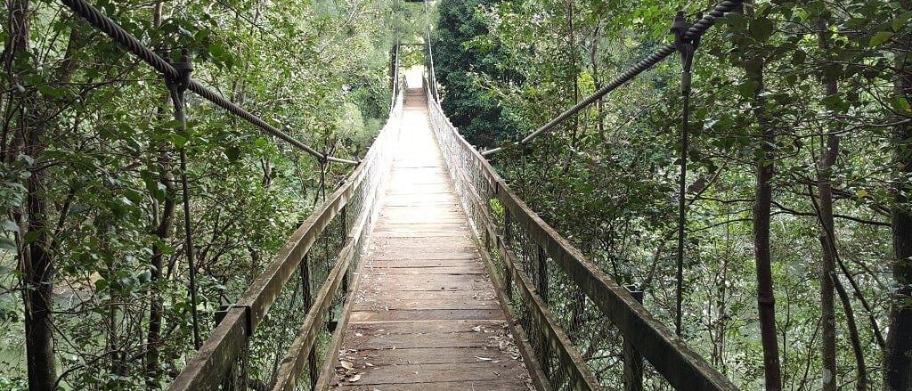 Futurus Group – Finance Industry Support & Solutions